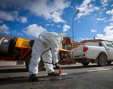 Biofima. Desinsectación imbornales