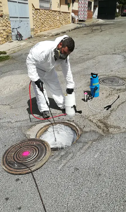 Biofima. Desinsectación red de saneamiento