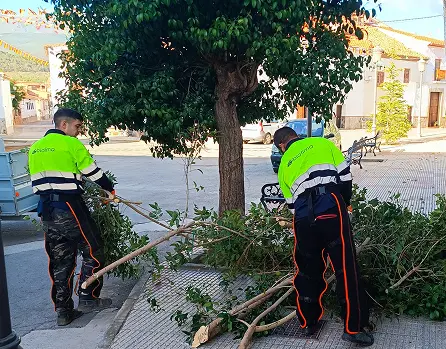 Biofima. Poda y limpieza viaria