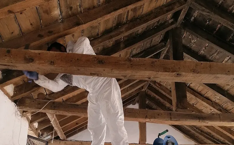 En Biofima disponemos de un equipo técnico especializado en control de plagas en madera