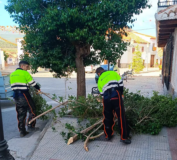 Biofima. Poda y limpieza viaria